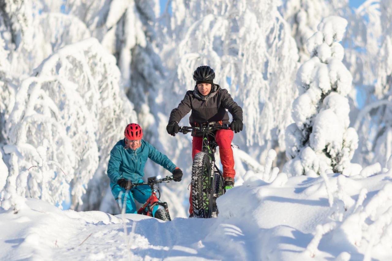 Tahko Spa Hotel 4* Tahkovuori